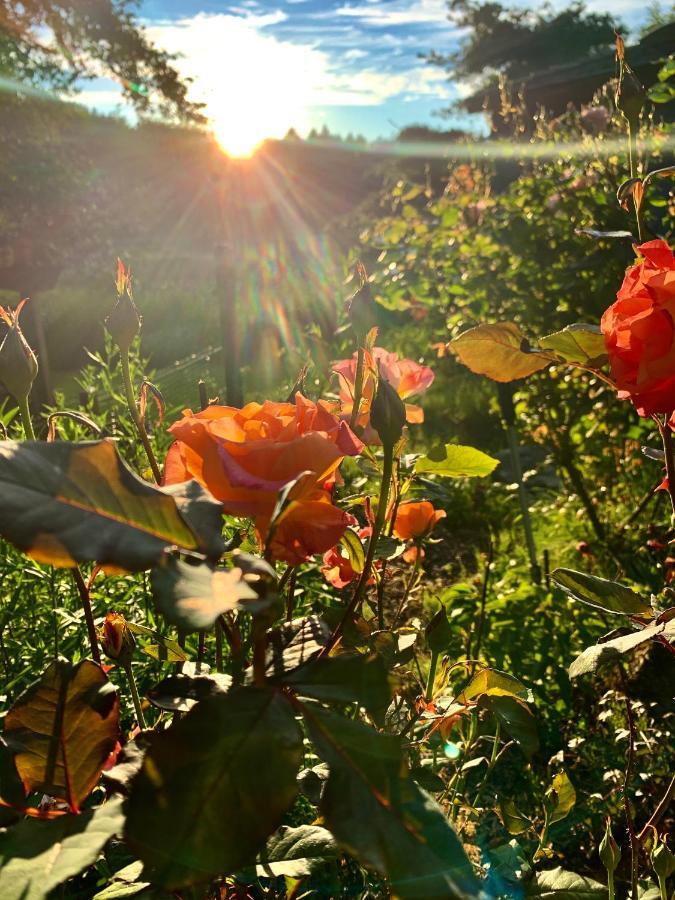 Otter'S Pond Bed And Breakfast Eastsound Buitenkant foto