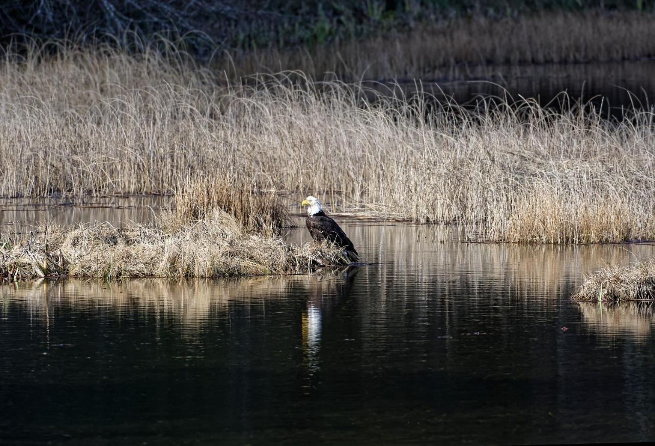 Otter'S Pond Bed And Breakfast Eastsound Buitenkant foto